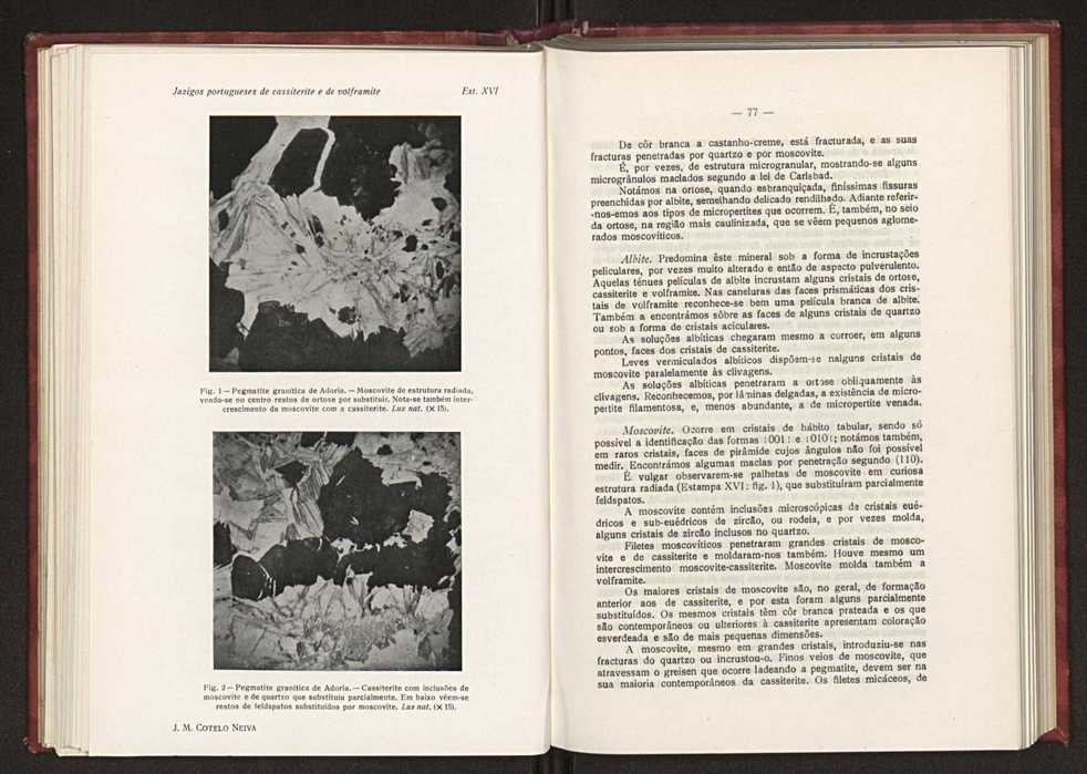 Jazigos portugueses de cassiterite e de volframite 57
