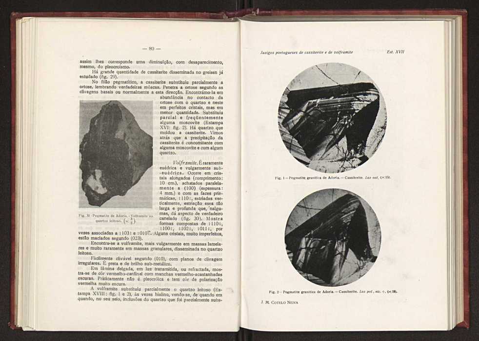 Jazigos portugueses de cassiterite e de volframite 59