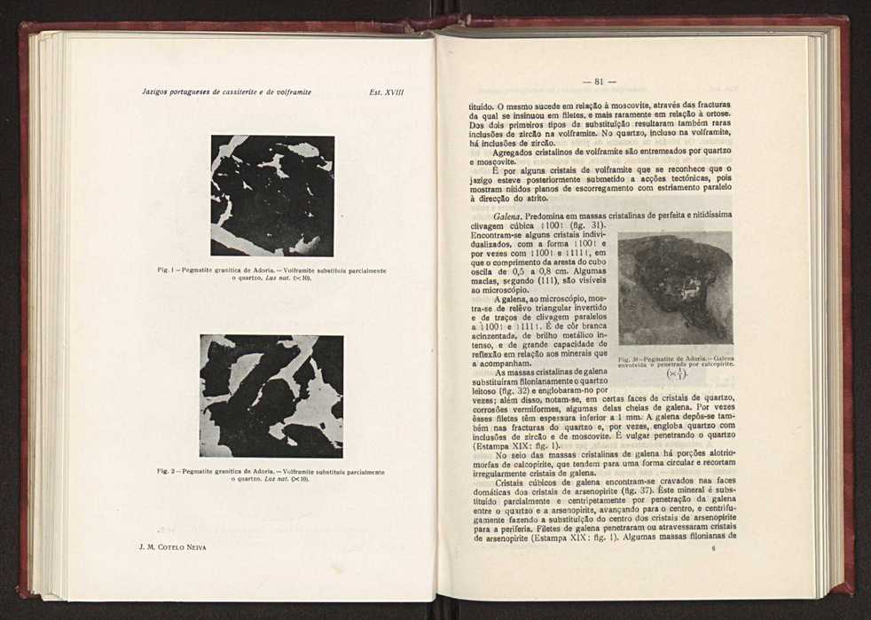 Jazigos portugueses de cassiterite e de volframite 60