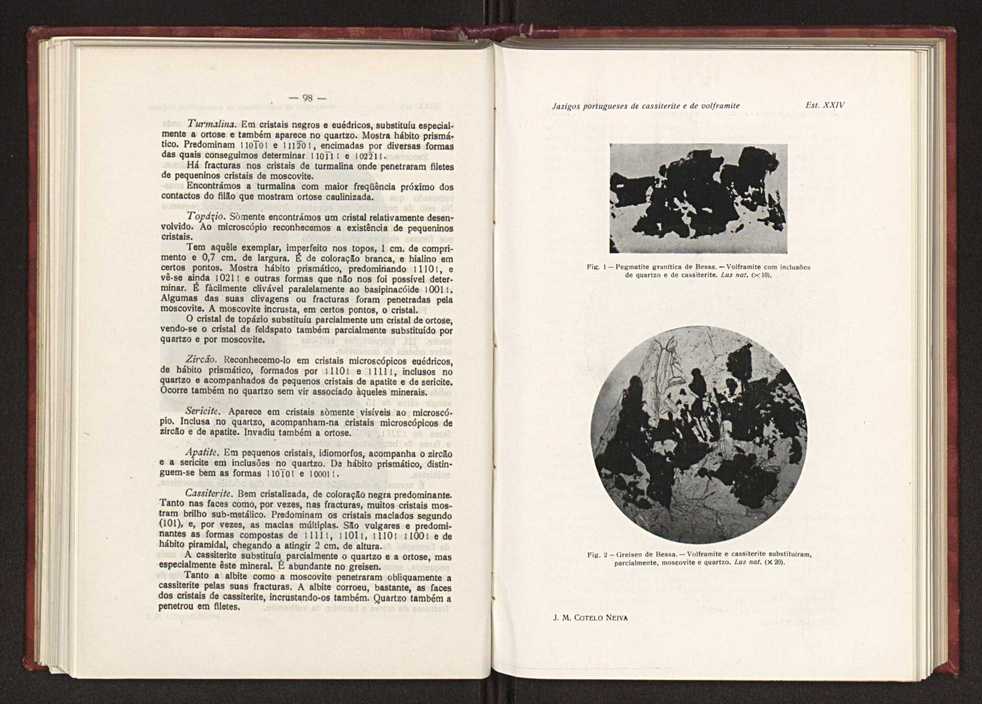 Jazigos portugueses de cassiterite e de volframite 73