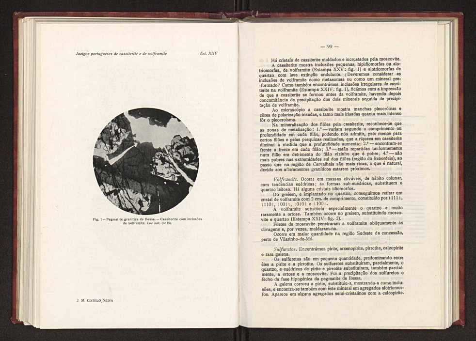 Jazigos portugueses de cassiterite e de volframite 74