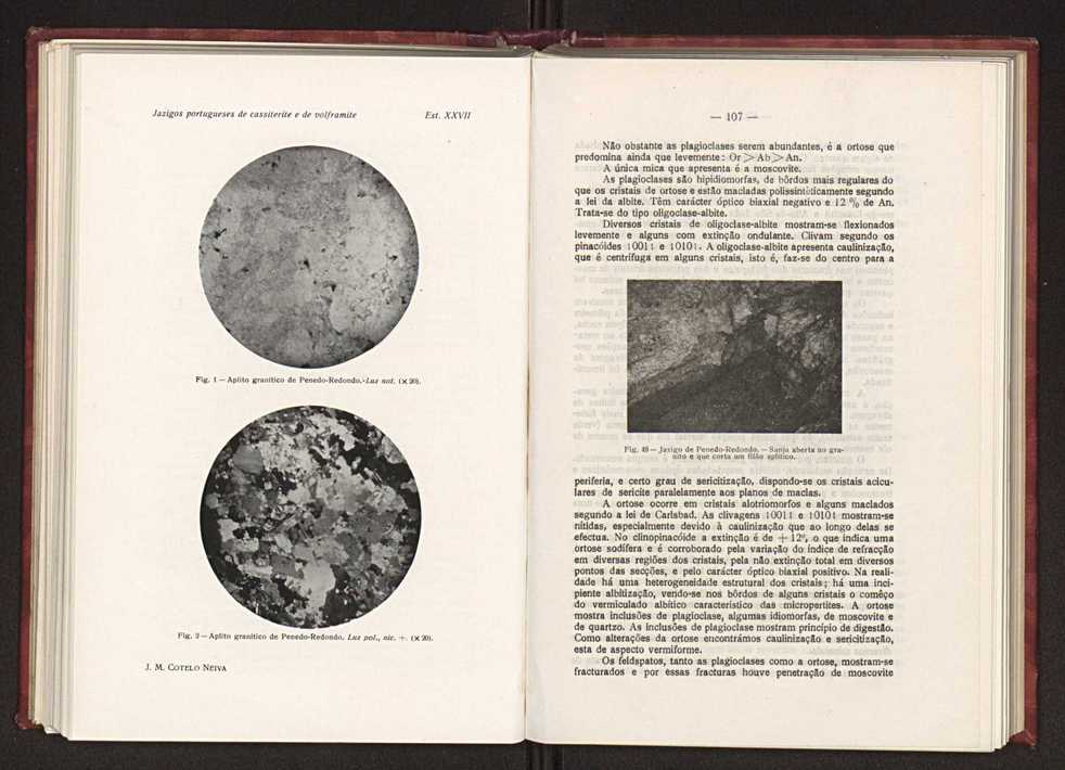 Jazigos portugueses de cassiterite e de volframite 80