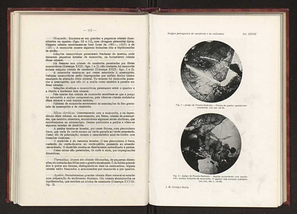 Jazigos portugueses de cassiterite e de volframite 83