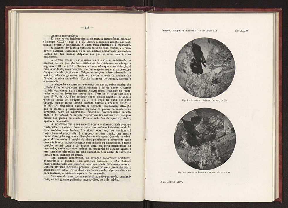Jazigos portugueses de cassiterite e de volframite 96