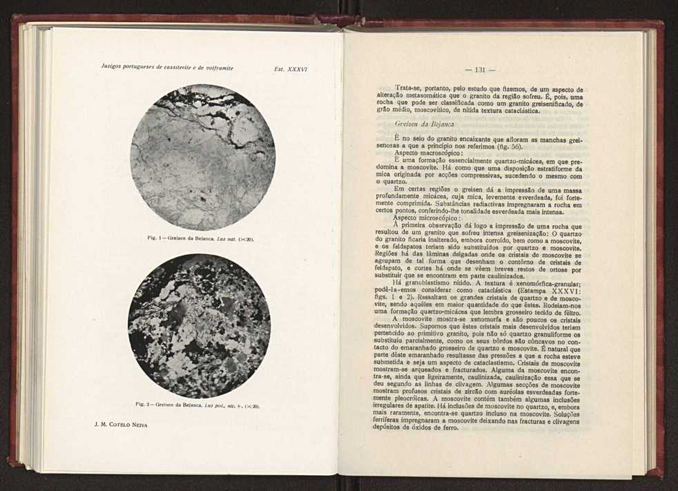 Jazigos portugueses de cassiterite e de volframite 99