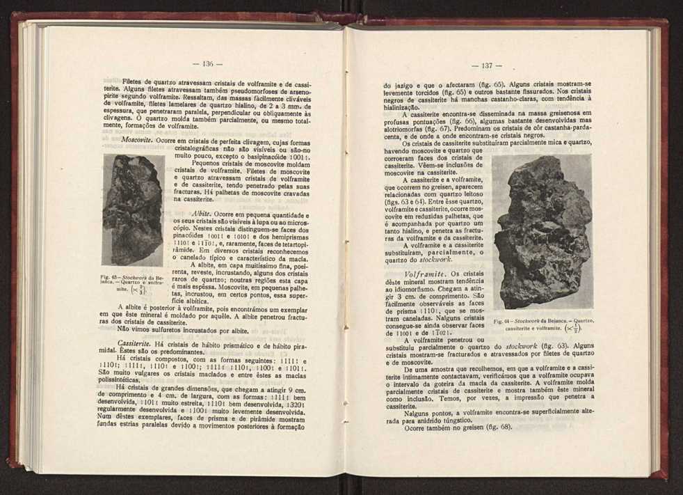 Jazigos portugueses de cassiterite e de volframite 103