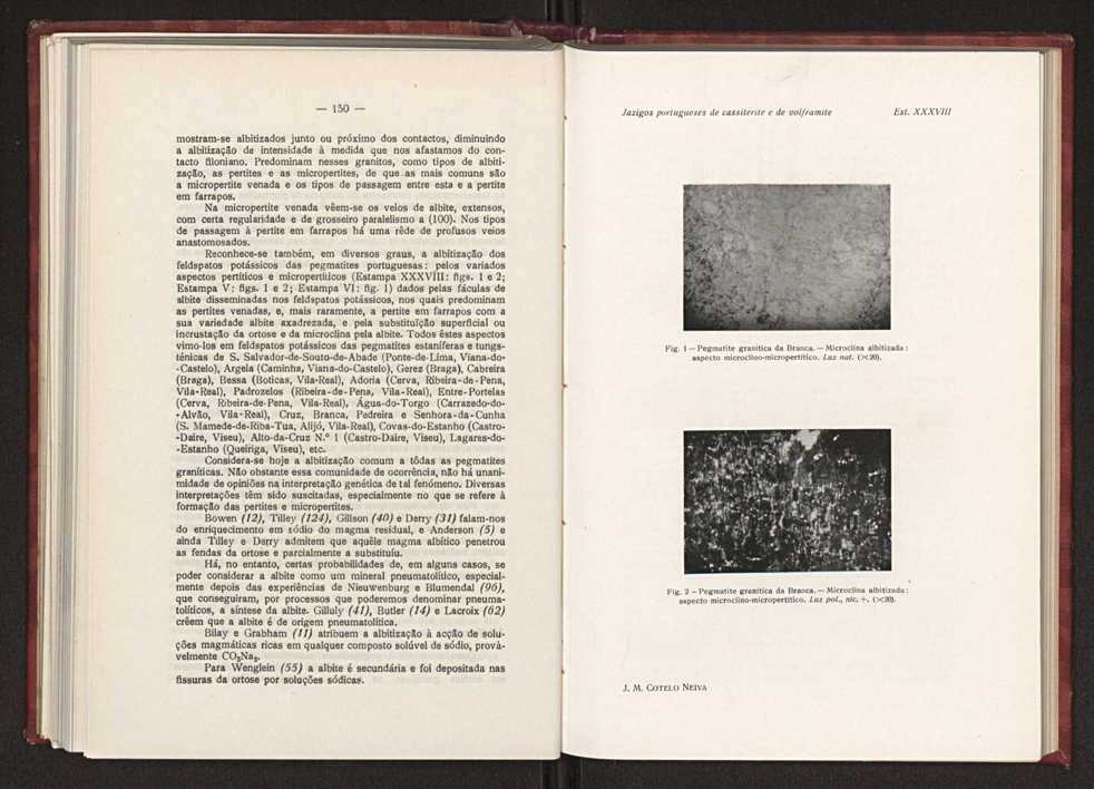 Jazigos portugueses de cassiterite e de volframite 111