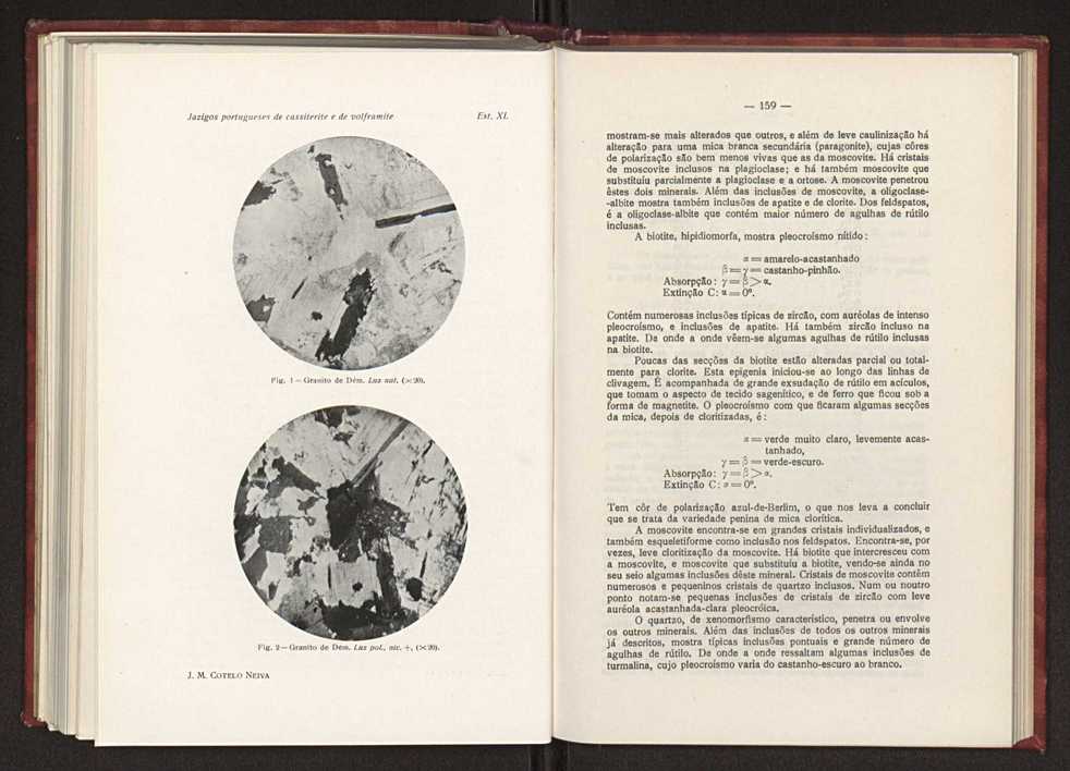 Jazigos portugueses de cassiterite e de volframite 117