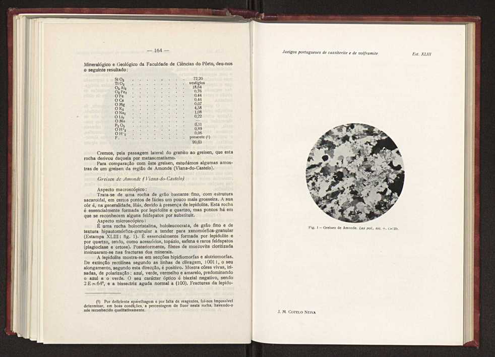 Jazigos portugueses de cassiterite e de volframite 121