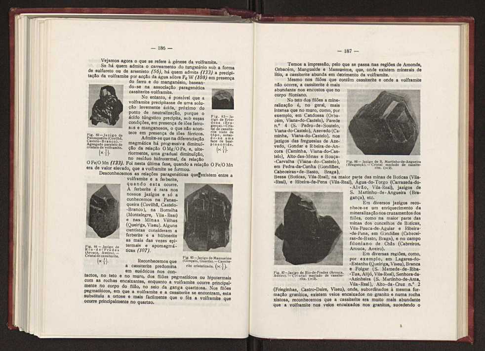 Jazigos portugueses de cassiterite e de volframite 133