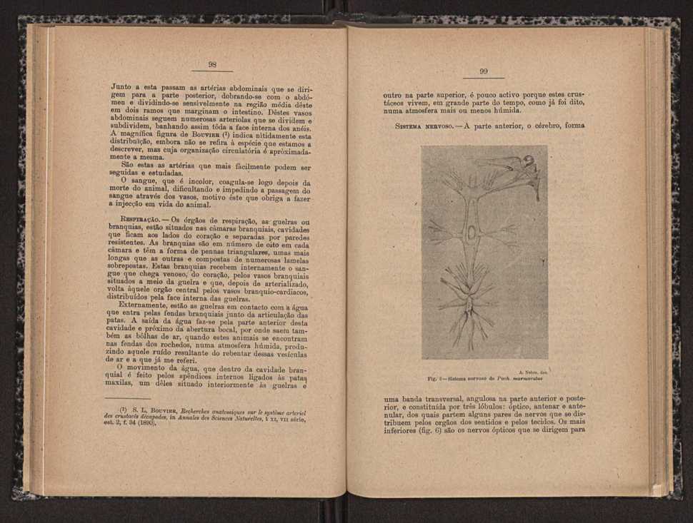 Anais da Faculdade de Scincias do Porto (antigos Annaes Scientificos da Academia Polytecnica do Porto). Vol. 16 51