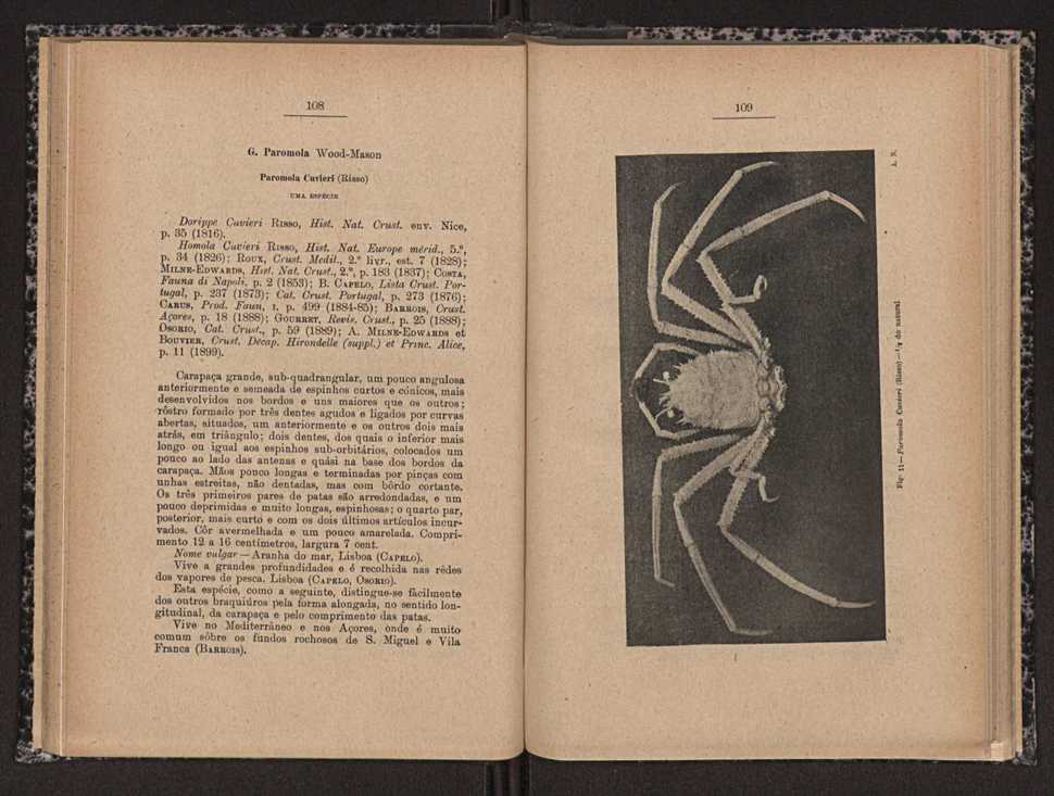 Anais da Faculdade de Scincias do Porto (antigos Annaes Scientificos da Academia Polytecnica do Porto). Vol. 16 56
