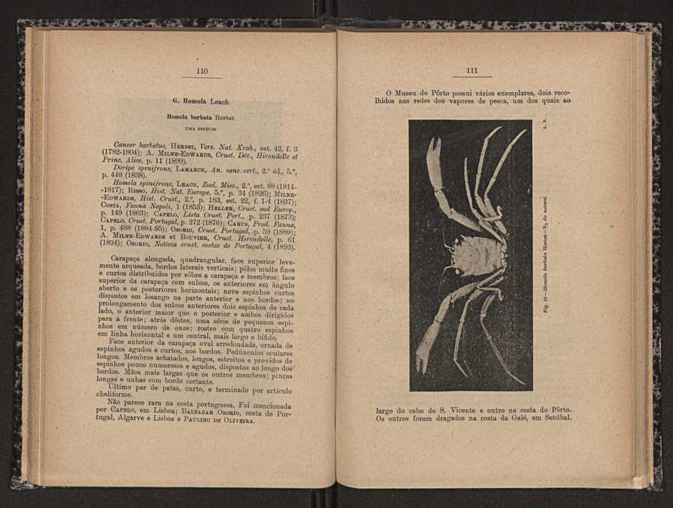 Anais da Faculdade de Scincias do Porto (antigos Annaes Scientificos da Academia Polytecnica do Porto). Vol. 16 57