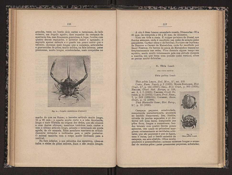 Anais da Faculdade de Scincias do Porto (antigos Annaes Scientificos da Academia Polytecnica do Porto). Vol. 16 60