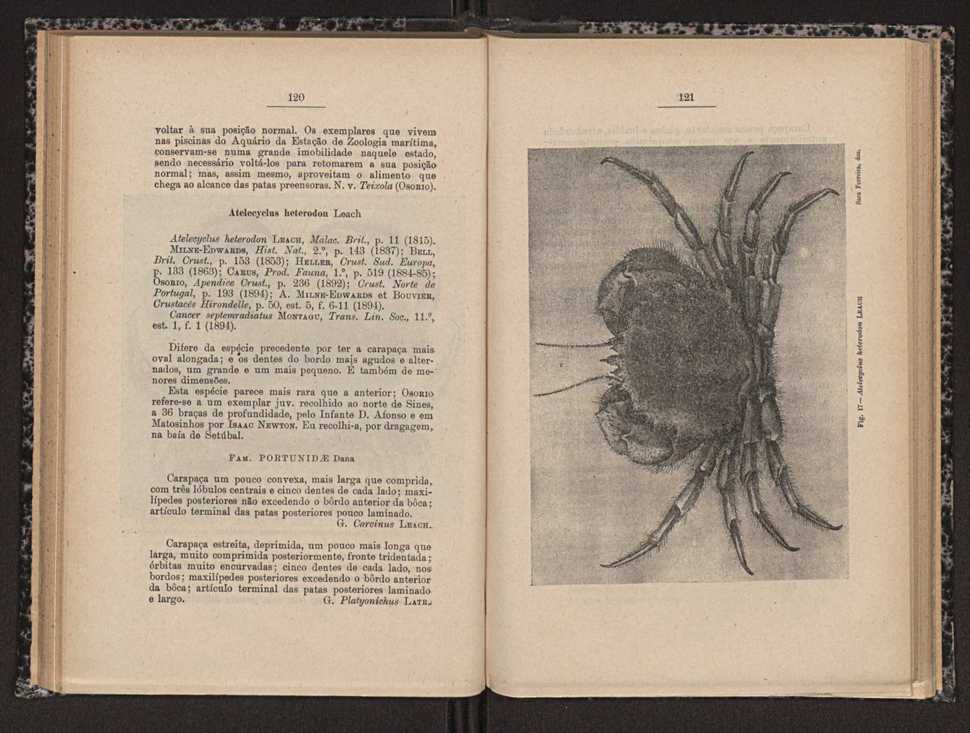 Anais da Faculdade de Scincias do Porto (antigos Annaes Scientificos da Academia Polytecnica do Porto). Vol. 16 62