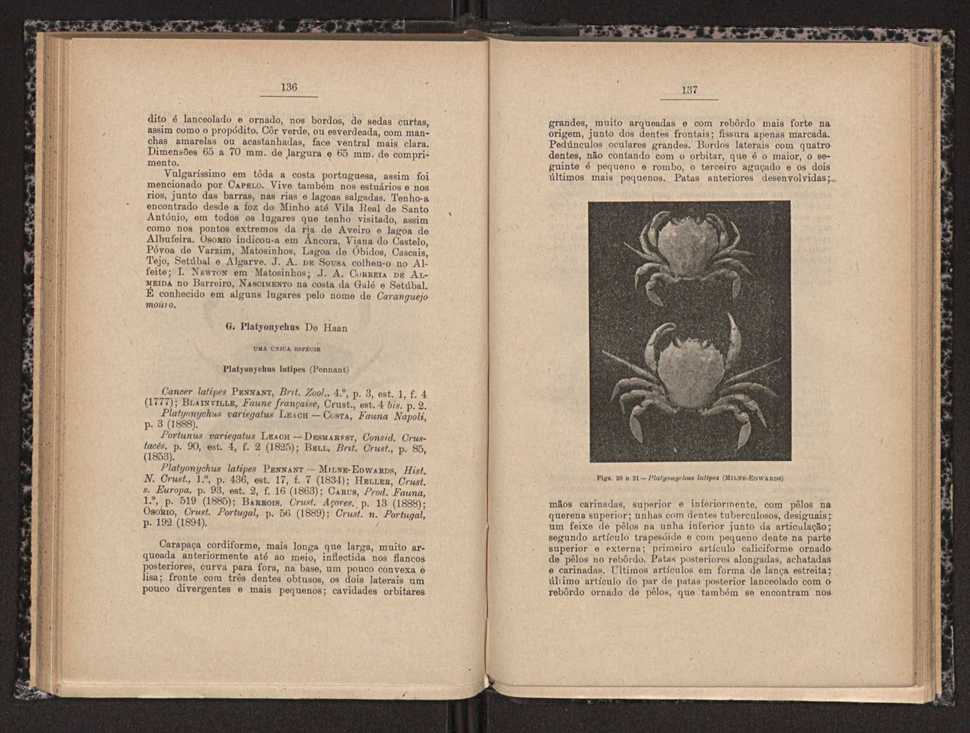 Anais da Faculdade de Scincias do Porto (antigos Annaes Scientificos da Academia Polytecnica do Porto). Vol. 16 70