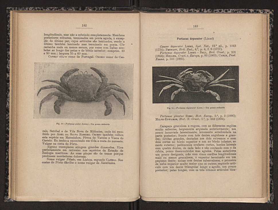 Anais da Faculdade de Scincias do Porto (antigos Annaes Scientificos da Academia Polytecnica do Porto). Vol. 16 73