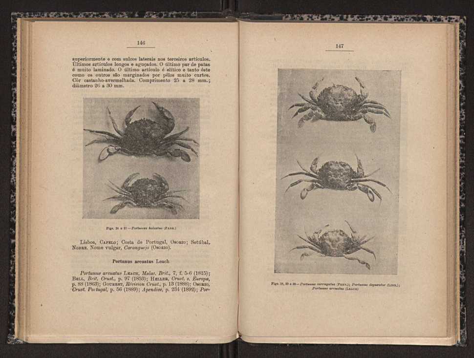 Anais da Faculdade de Scincias do Porto (antigos Annaes Scientificos da Academia Polytecnica do Porto). Vol. 16 75