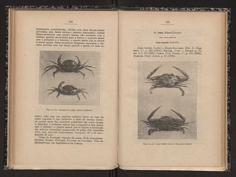 Anais da Faculdade de Scincias do Porto (antigos Annaes Scientificos da Academia Polytecnica do Porto). Vol. 16 78