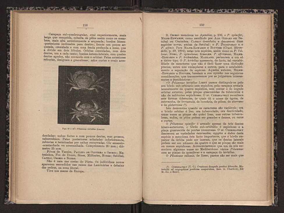 Anais da Faculdade de Scincias do Porto (antigos Annaes Scientificos da Academia Polytecnica do Porto). Vol. 16 80