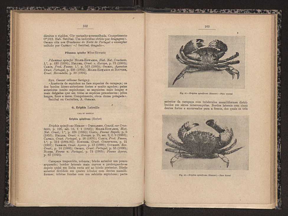 Anais da Faculdade de Scincias do Porto (antigos Annaes Scientificos da Academia Polytecnica do Porto). Vol. 16 82