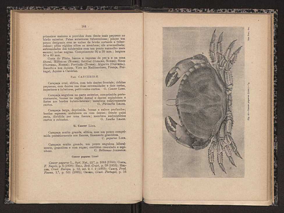 Anais da Faculdade de Scincias do Porto (antigos Annaes Scientificos da Academia Polytecnica do Porto). Vol. 16 83