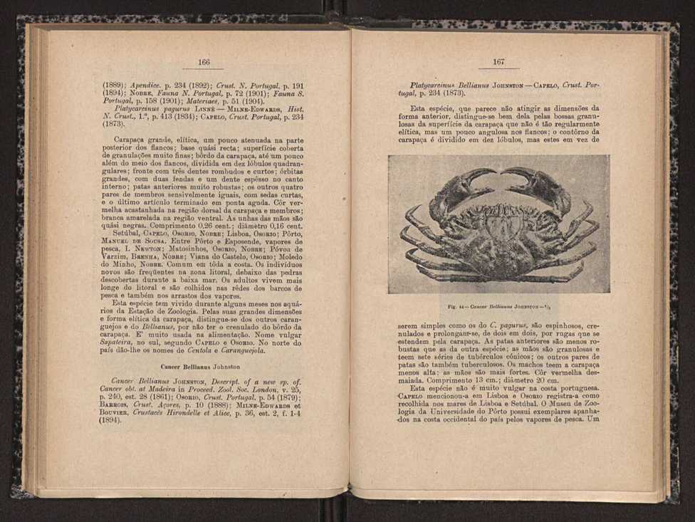 Anais da Faculdade de Scincias do Porto (antigos Annaes Scientificos da Academia Polytecnica do Porto). Vol. 16 84