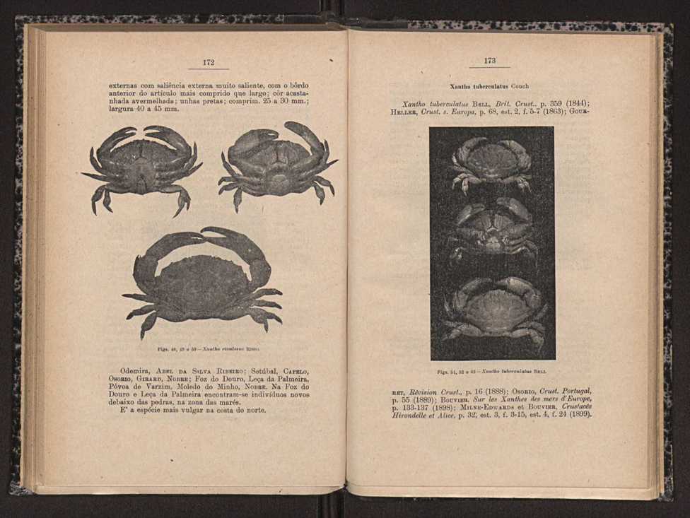 Anais da Faculdade de Scincias do Porto (antigos Annaes Scientificos da Academia Polytecnica do Porto). Vol. 16 87