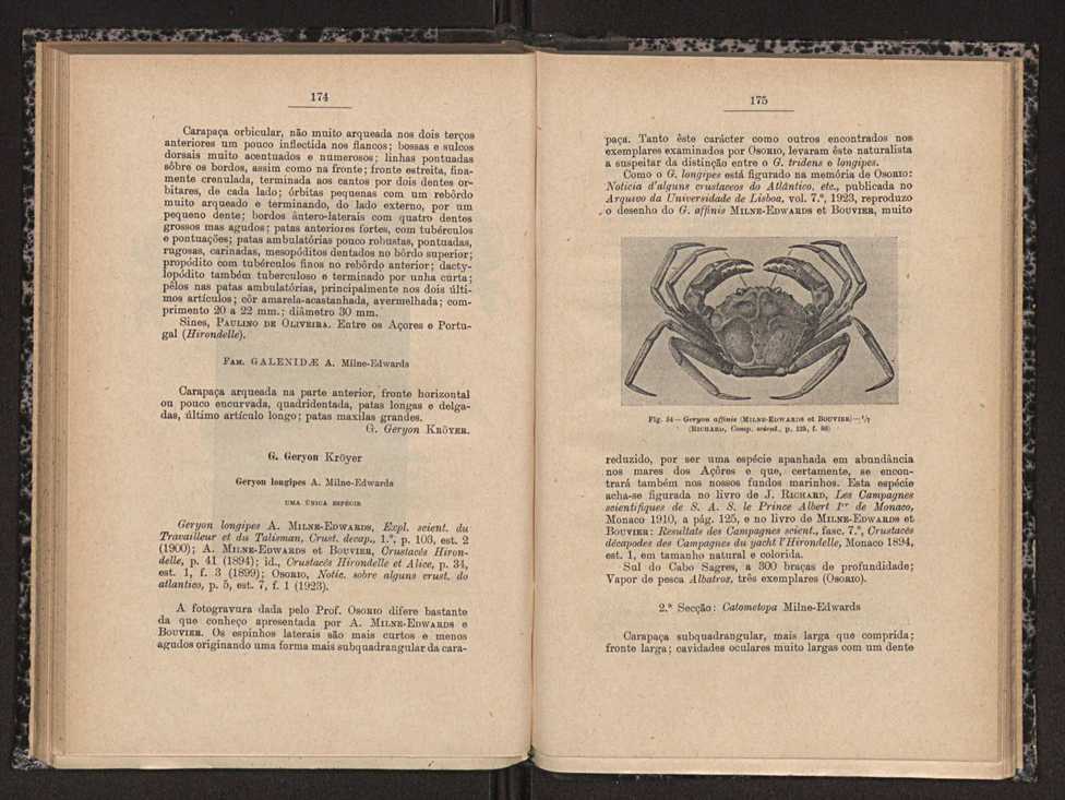 Anais da Faculdade de Scincias do Porto (antigos Annaes Scientificos da Academia Polytecnica do Porto). Vol. 16 88