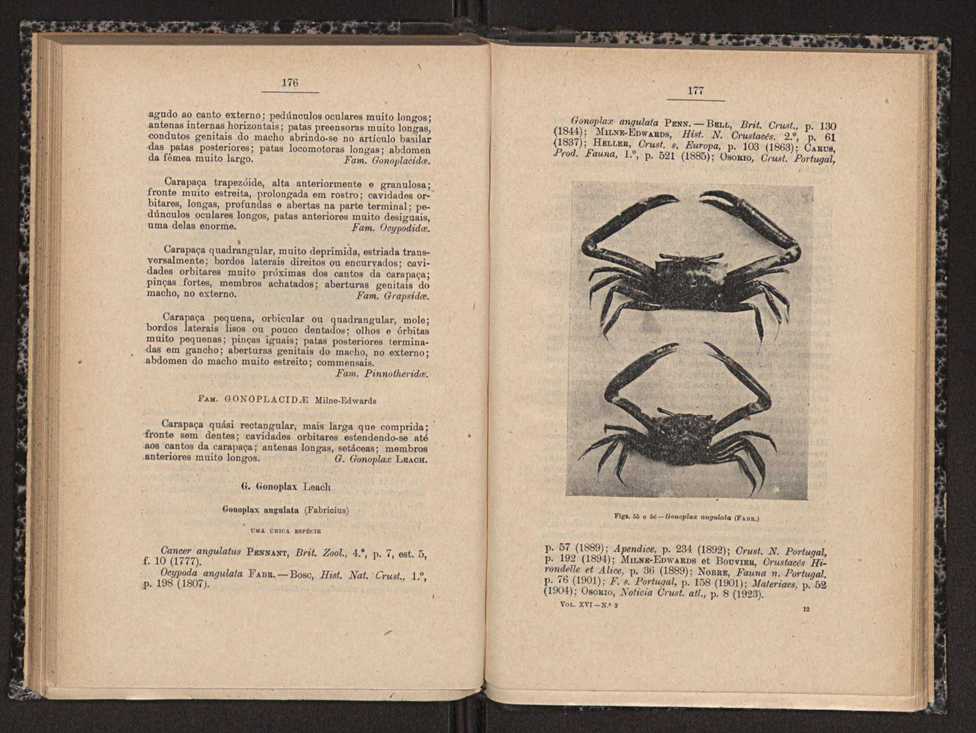 Anais da Faculdade de Scincias do Porto (antigos Annaes Scientificos da Academia Polytecnica do Porto). Vol. 16 89