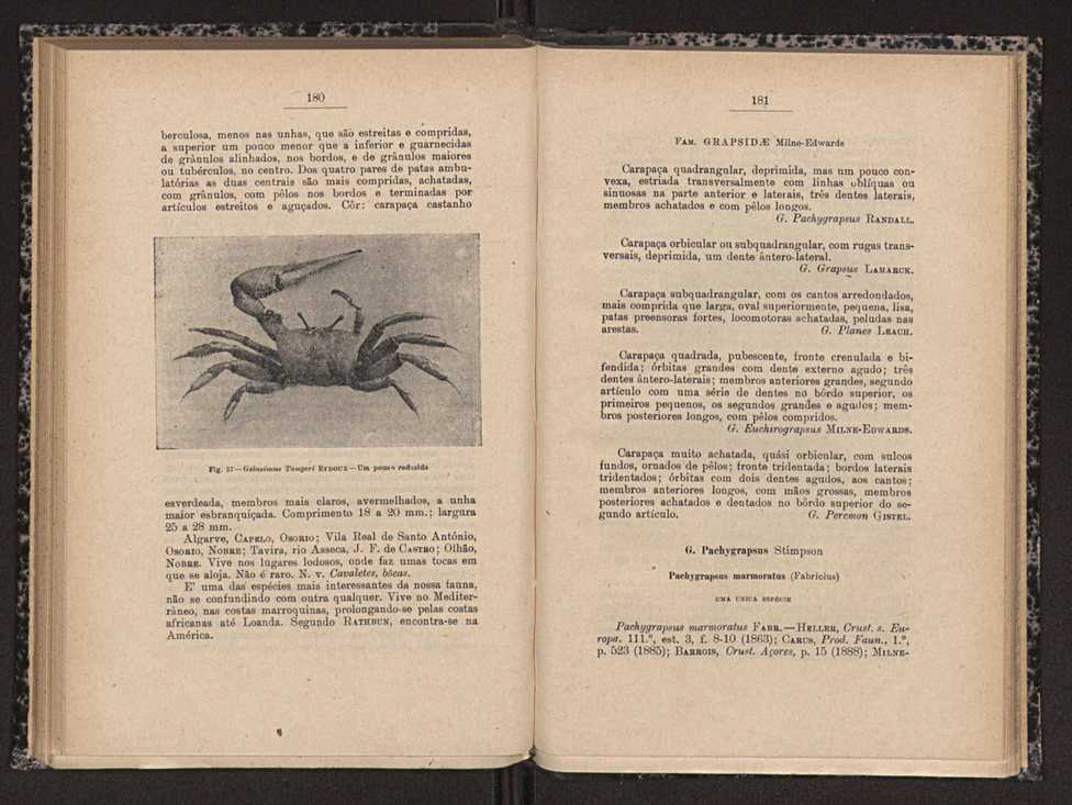 Anais da Faculdade de Scincias do Porto (antigos Annaes Scientificos da Academia Polytecnica do Porto). Vol. 16 91