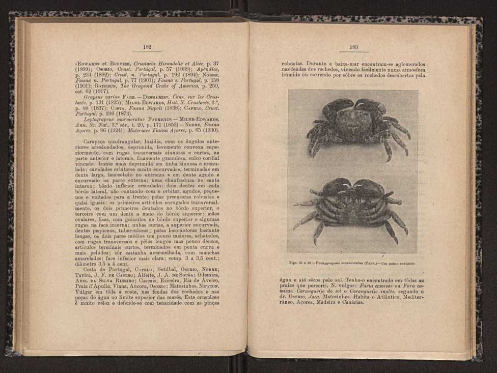 Anais da Faculdade de Scincias do Porto (antigos Annaes Scientificos da Academia Polytecnica do Porto). Vol. 16 92