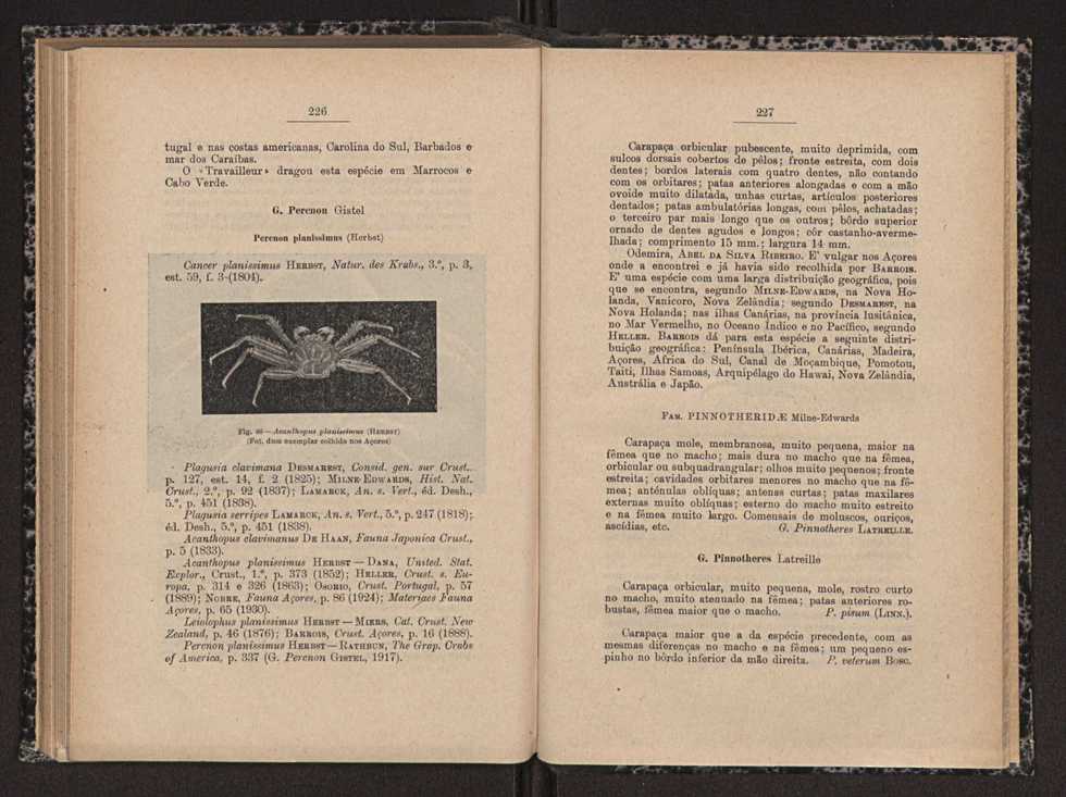 Anais da Faculdade de Scincias do Porto (antigos Annaes Scientificos da Academia Polytecnica do Porto). Vol. 16 115