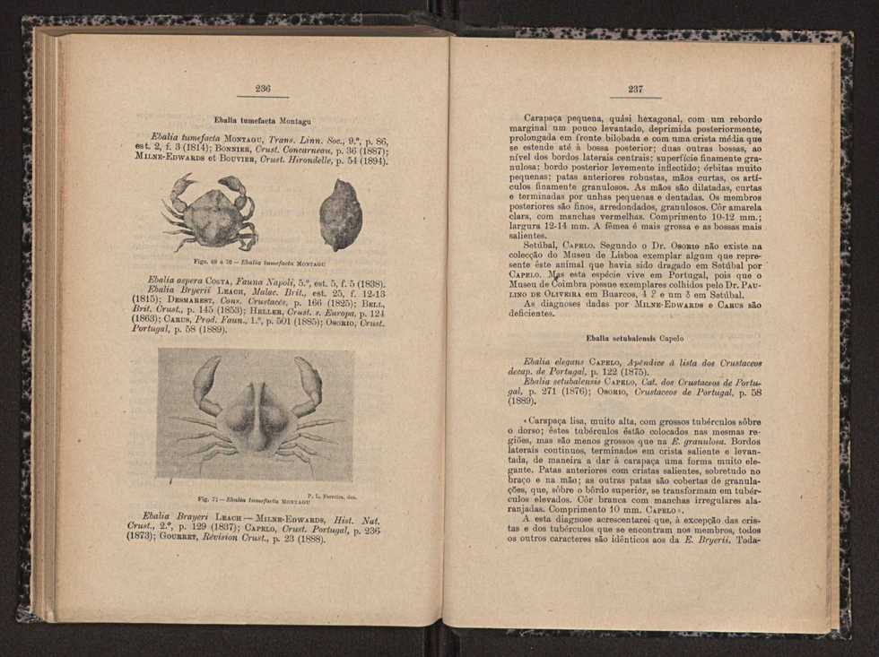 Anais da Faculdade de Sci�ncias do Porto (antigos Annaes Scientificos da Academia Polytecnica do Porto). Vol. 16 120
