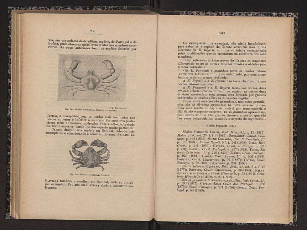 Anais da Faculdade de Scincias do Porto (antigos Annaes Scientificos da Academia Polytecnica do Porto). Vol. 16 121