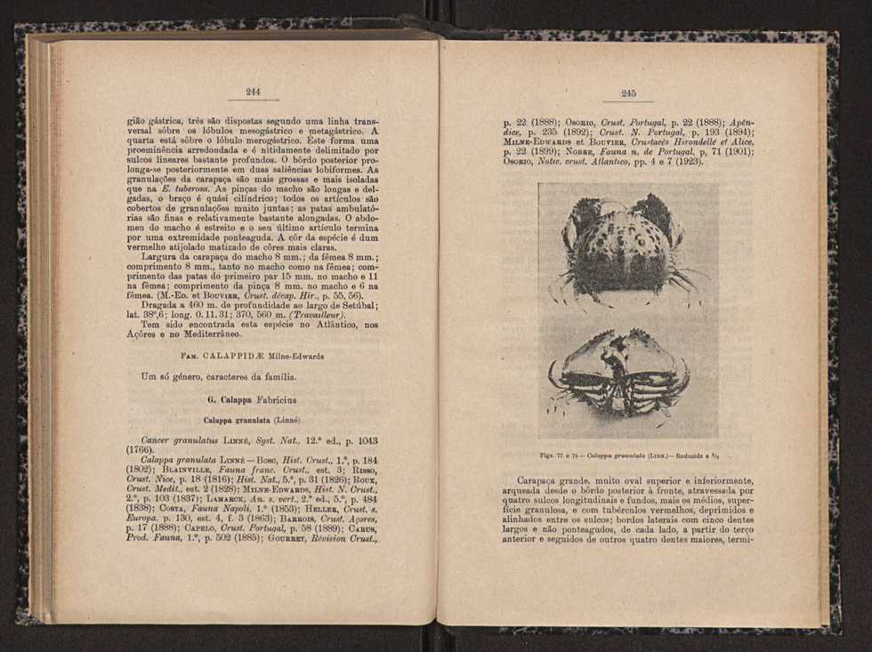 Anais da Faculdade de Sci�ncias do Porto (antigos Annaes Scientificos da Academia Polytecnica do Porto). Vol. 16 124