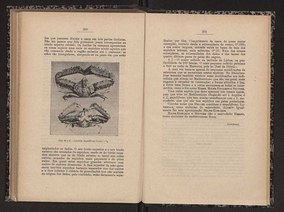 Anais da Faculdade de Scincias do Porto (antigos Annaes Scientificos da Academia Polytecnica do Porto). Vol. 16 127