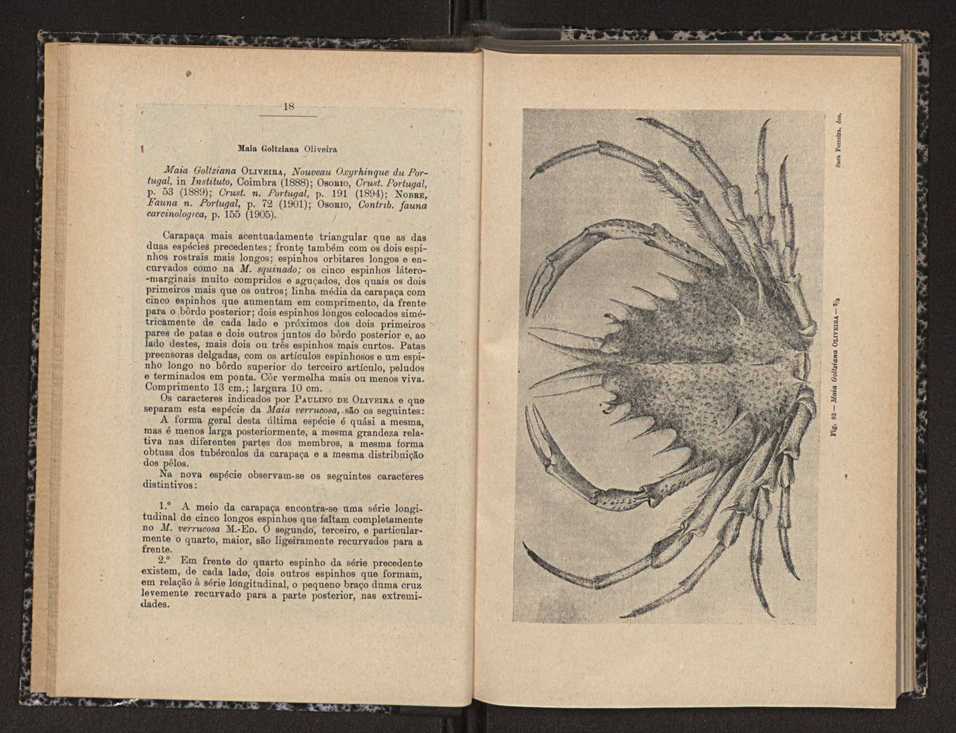 Anais da Faculdade de Scincias do Porto (antigos Annaes Scientificos da Academia Polytecnica do Porto). Vol. 17 11