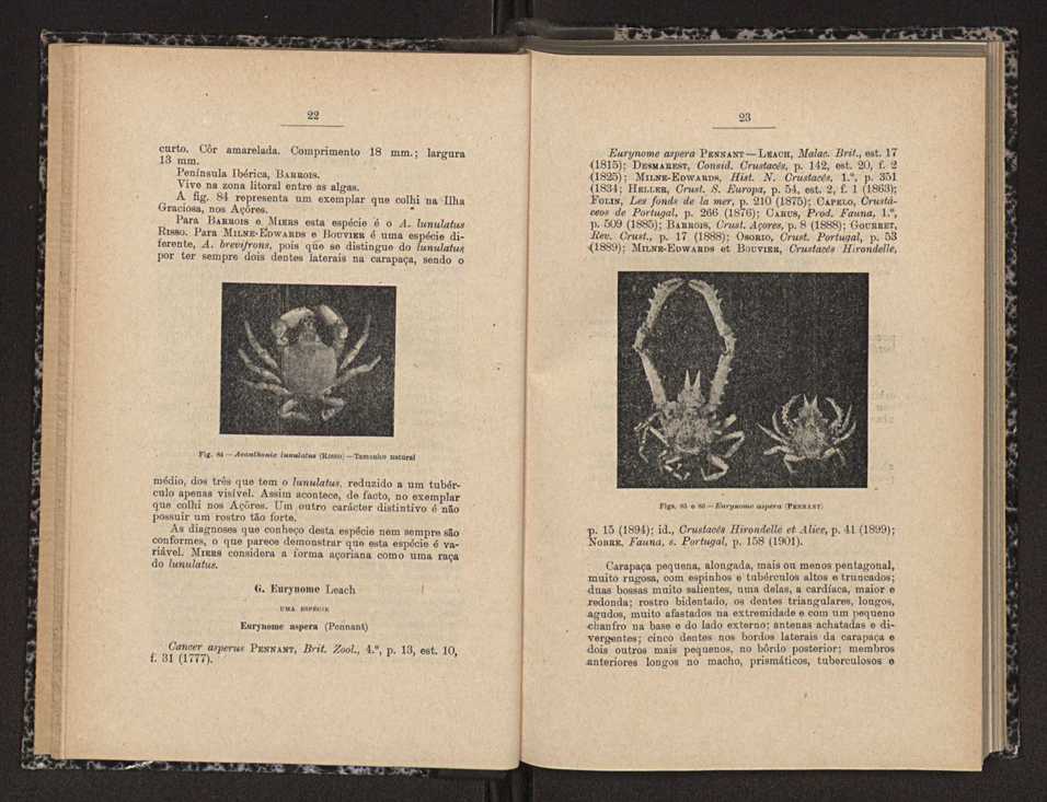 Anais da Faculdade de Scincias do Porto (antigos Annaes Scientificos da Academia Polytecnica do Porto). Vol. 17 13