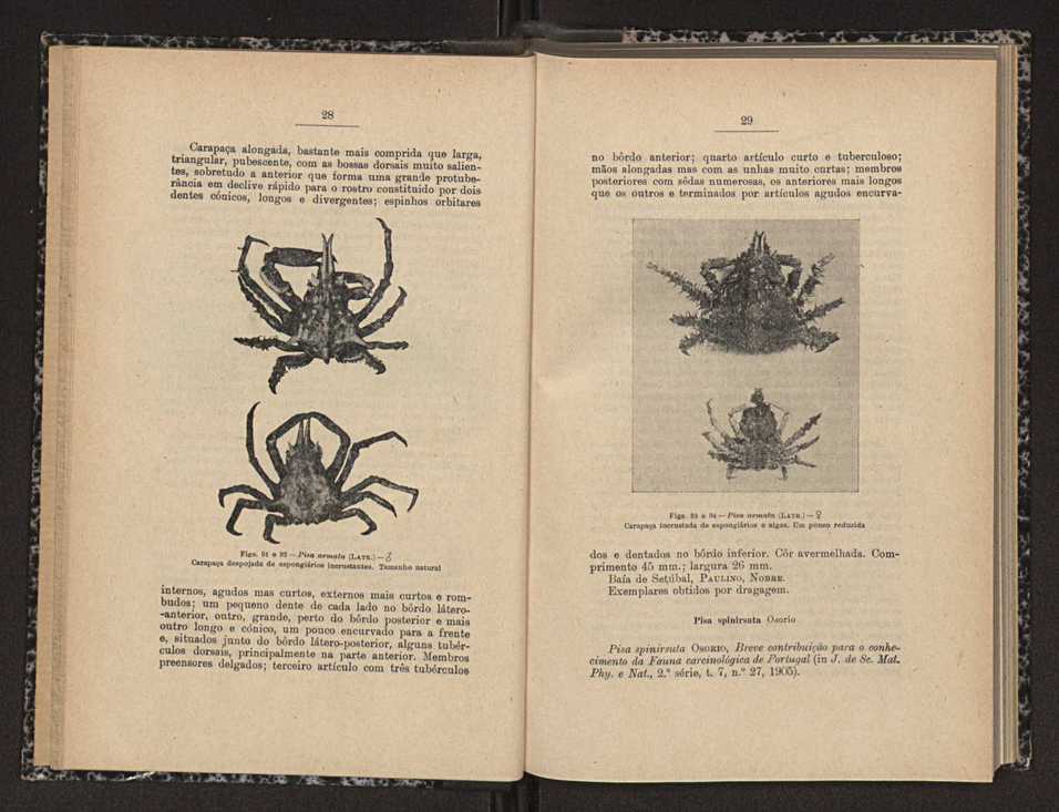 Anais da Faculdade de Scincias do Porto (antigos Annaes Scientificos da Academia Polytecnica do Porto). Vol. 17 16