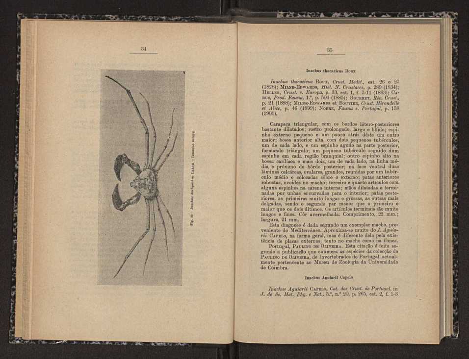 Anais da Faculdade de Scincias do Porto (antigos Annaes Scientificos da Academia Polytecnica do Porto). Vol. 17 19