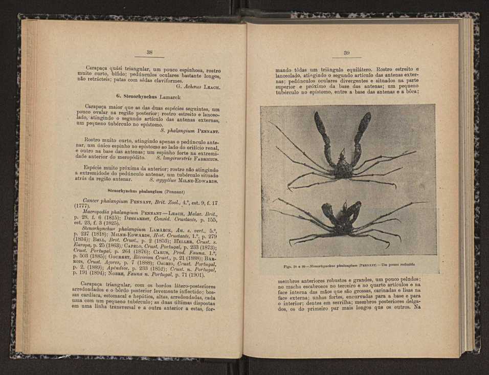 Anais da Faculdade de Scincias do Porto (antigos Annaes Scientificos da Academia Polytecnica do Porto). Vol. 17 21