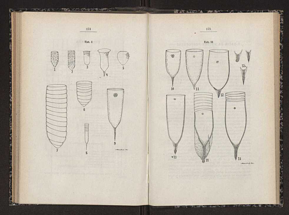 Anais da Faculdade de Scincias do Porto (antigos Annaes Scientificos da Academia Polytecnica do Porto). Vol. 17 92