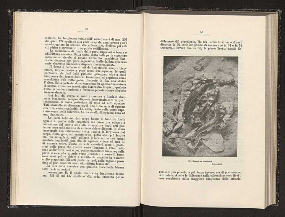 Anais da Faculdade de Scincias do Porto (antigos Annaes Scientificos da Academia Polytecnica do Porto). Vol. 19 29