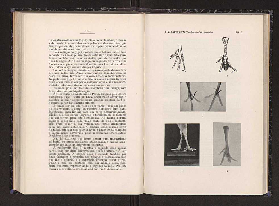Anais da Faculdade de Scincias do Porto (antigos Annaes Scientificos da Academia Polytecnica do Porto). Vol. 22 87