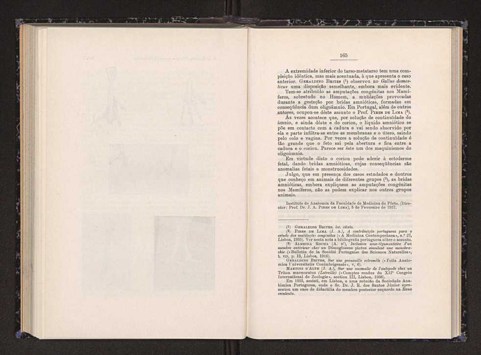 Anais da Faculdade de Scincias do Porto (antigos Annaes Scientificos da Academia Polytecnica do Porto). Vol. 22 88