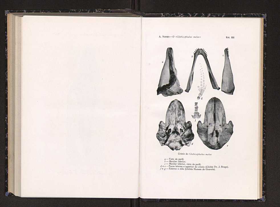 Anais da Faculdade de Scincias do Porto (antigos Annaes Scientificos da Academia Polytecnica do Porto). Vol. 22 128