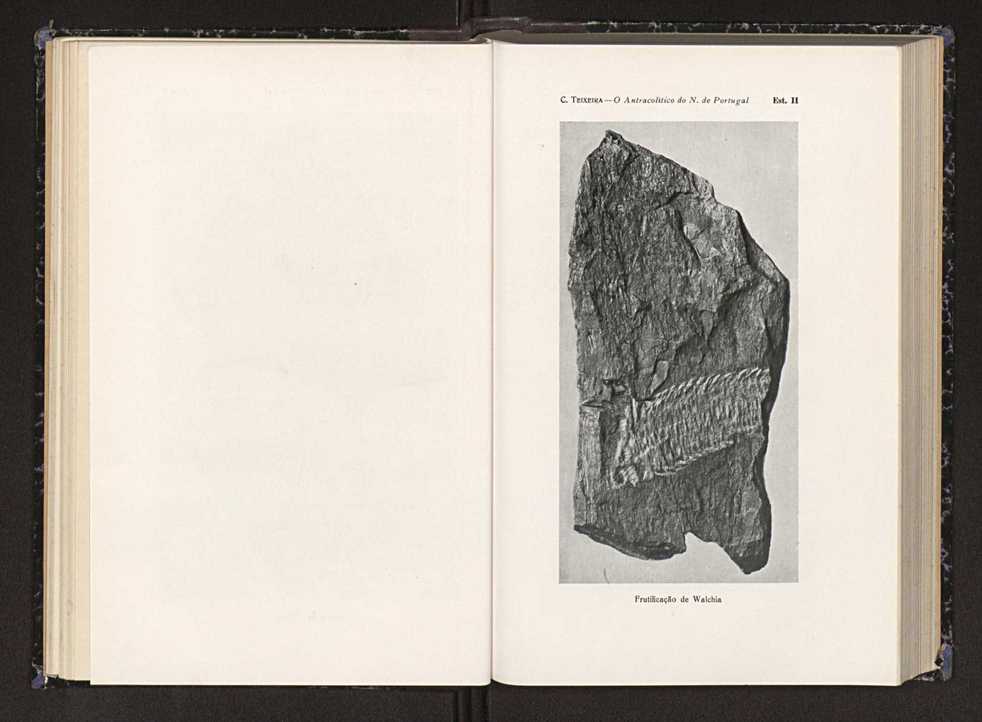 Anais da Faculdade de Scincias do Porto (antigos Annaes Scientificos da Academia Polytecnica do Porto). Vol. 23 25