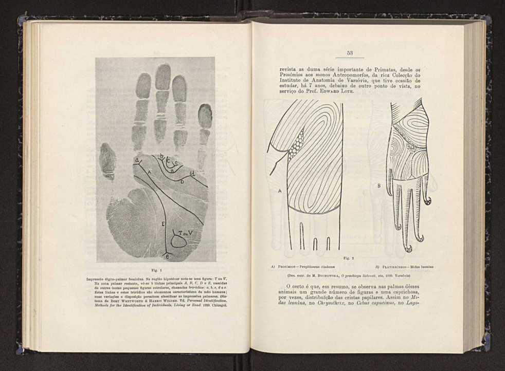 Anais da Faculdade de Scincias do Porto (antigos Annaes Scientificos da Academia Polytecnica do Porto). Vol. 23 29