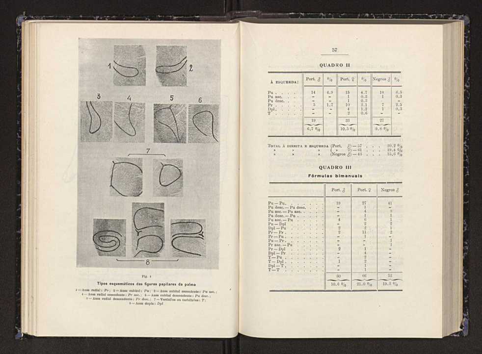 Anais da Faculdade de Scincias do Porto (antigos Annaes Scientificos da Academia Polytecnica do Porto). Vol. 23 31